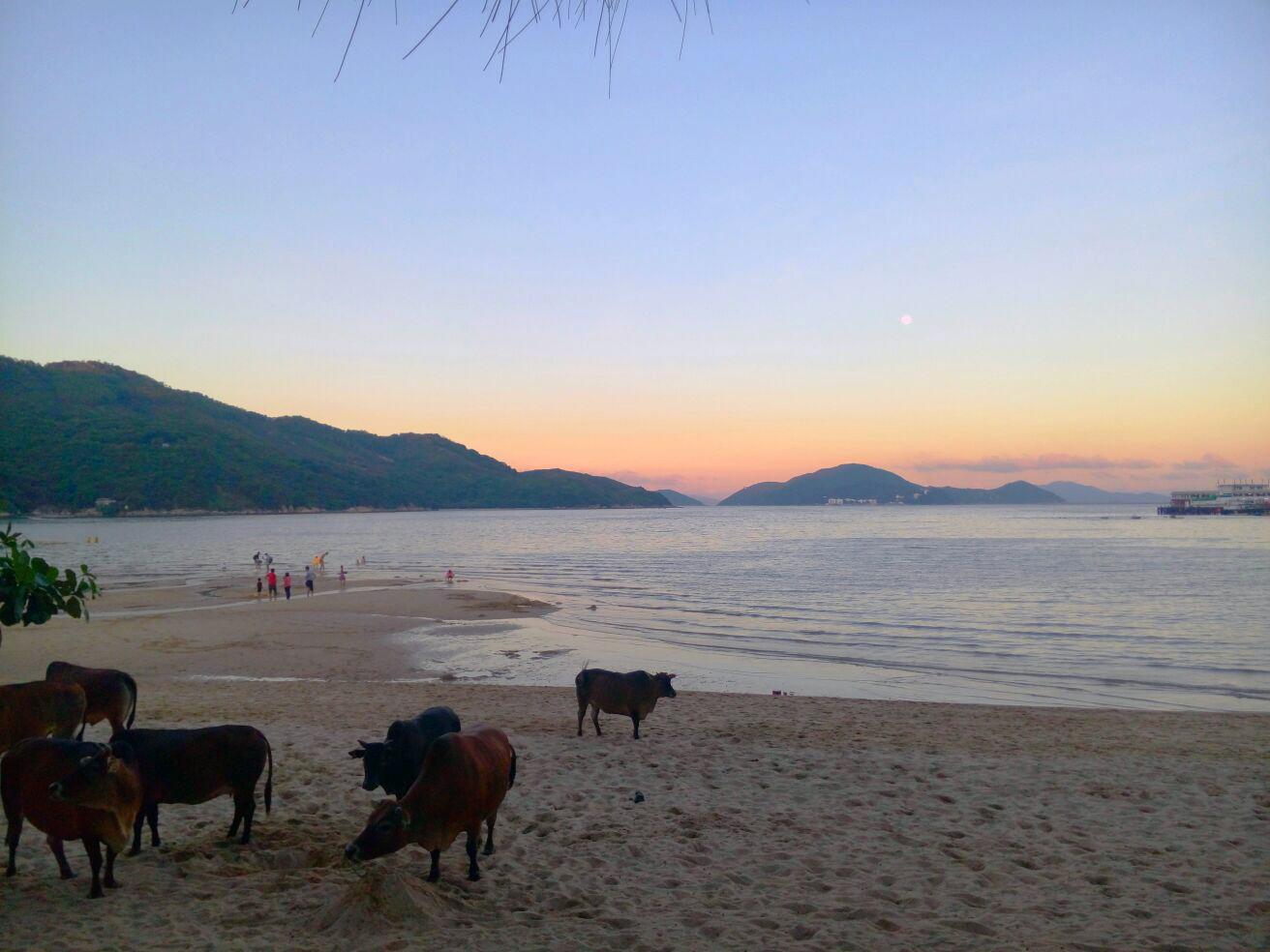 Silvermine Beach Resort Гонконг Экстерьер фото